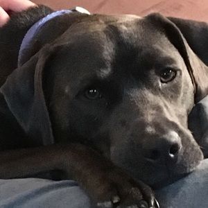 Meet your Posher, Beth